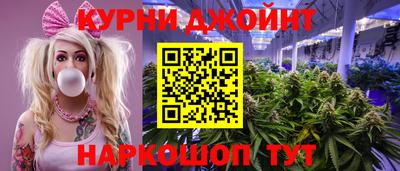 индика Дубна
