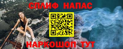 индика Дубна