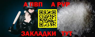 индика Дубна
