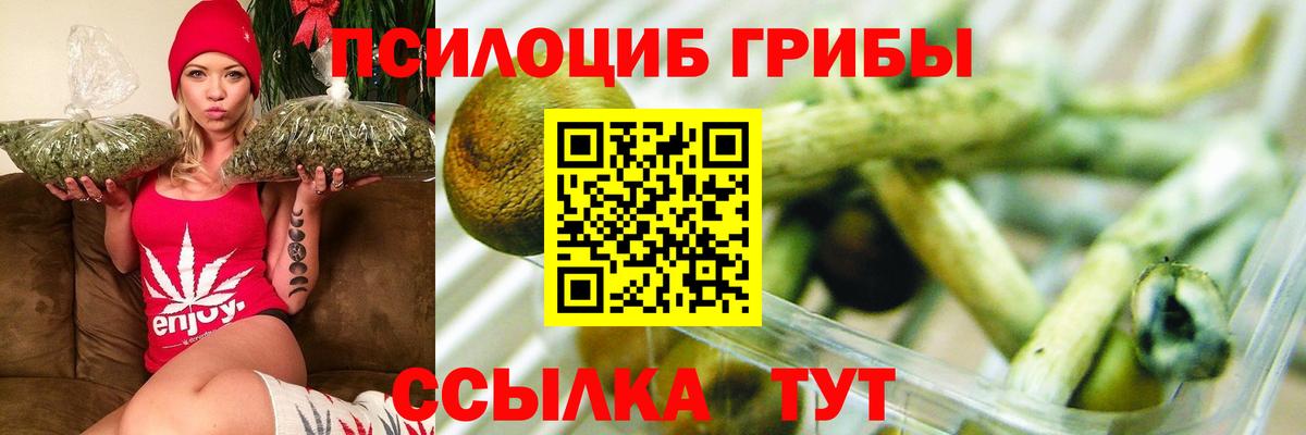 Галлюциногенные грибы прущие грибы  Вход с VPN  Галлюциногенные грибы MAGIC MUSHROOMS  Обнинск 