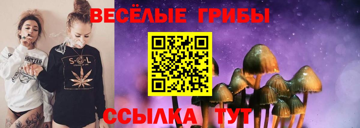 Галлюциногенные грибы Magic Shrooms Обнинск