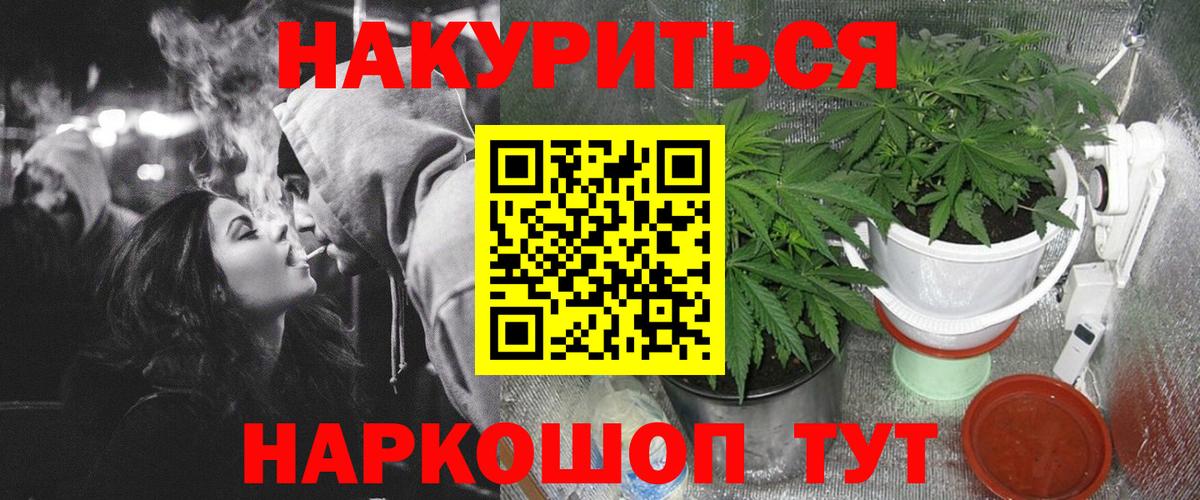 Каннабис план Обнинск